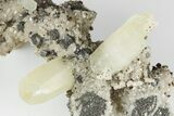 Hexagonal Calcite, Chalcopyrite and Galena Association - Missouri #193780-2